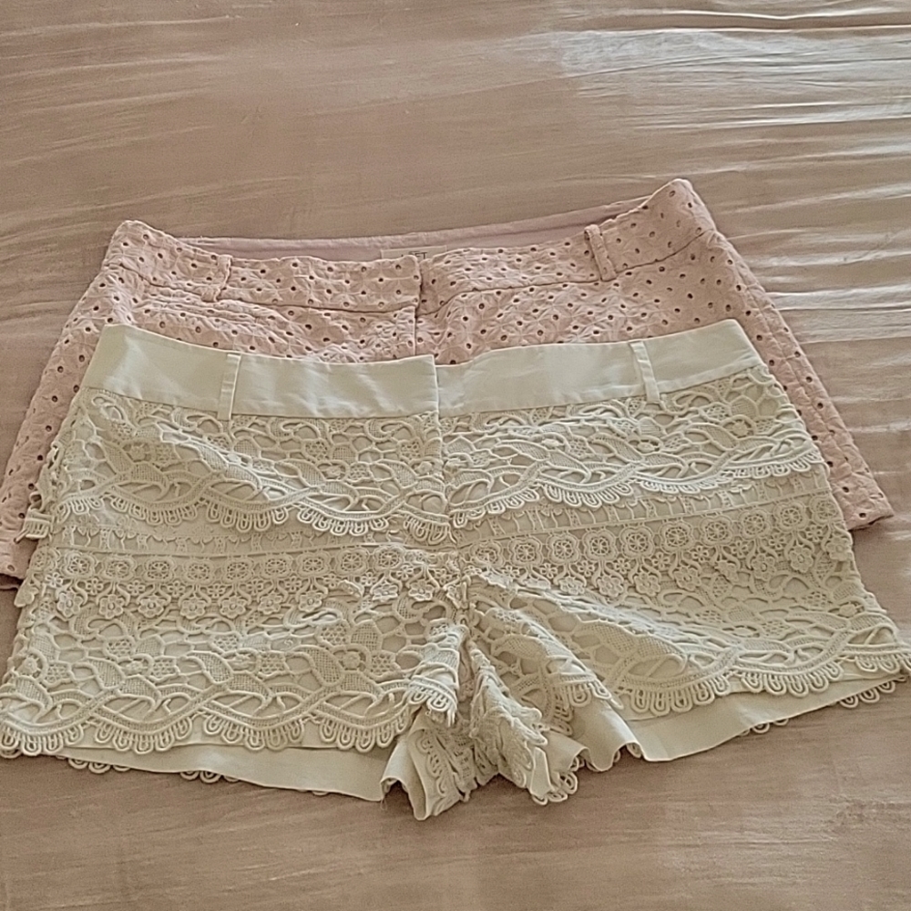 Ann Taylor LOFT Shorts Bundle Size 14